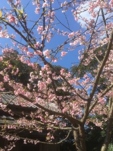 新しいことを始める時！