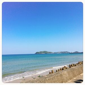 でんぐり探検たい♪