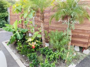 よく育ったなぁ