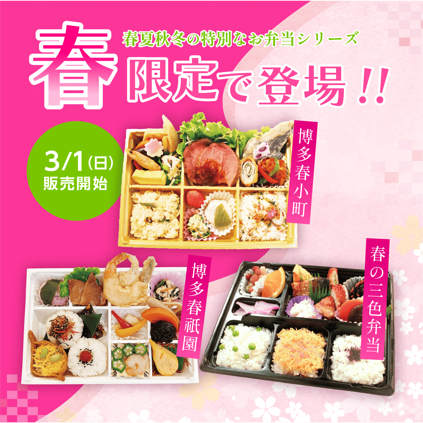 春限定弁当